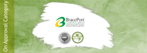 BRACE PORT LOGISTICS LIMITED